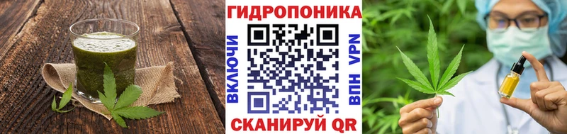 дарнет шоп  Жигулёвск  Canna-Cookies конопля 