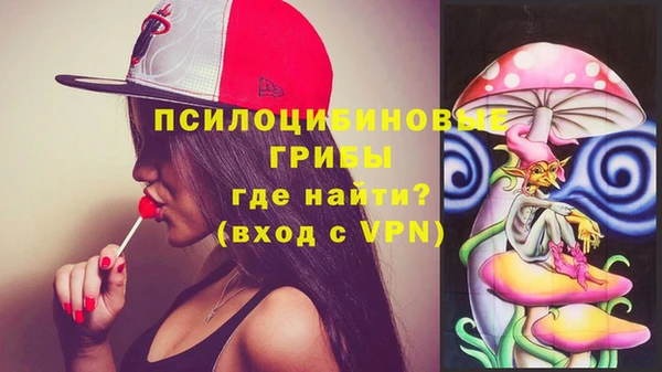 apvp Алзамай