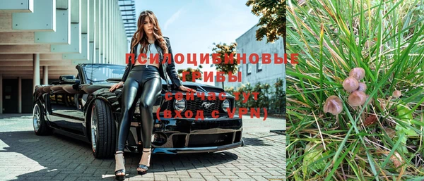 apvp Алзамай