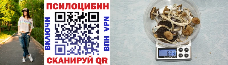 Галлюциногенные грибы MAGIC MUSHROOMS  Жигулёвск 